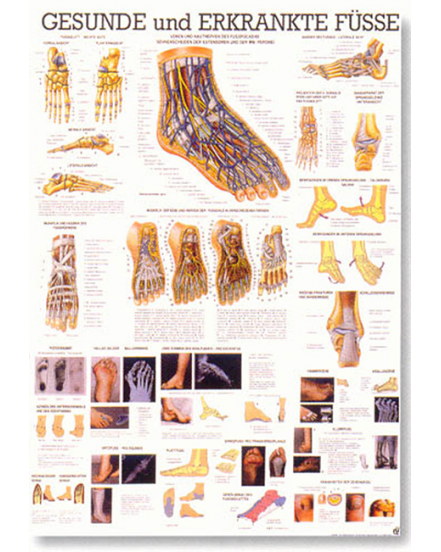 Reflexní zóny nohy a ruky
